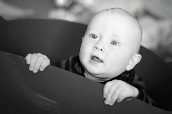 Gal_131805_0123 copy